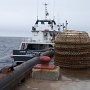 <p align=left>Le quai à Natasquan: les cages de crabes attendent sagement. Un port bien tranquille en cette fin de juin. Peut-être qu ela pêche au crabe est terminée, j'aurais aimé le demander, mais personne en vue.